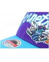 Gorra NBA Snapback M&N Arched Script Charlotte Hornets