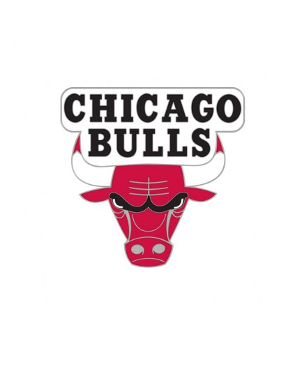 Pin Collector Series Chicago Bulls