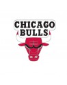 Pin Collector Series Chicago Bulls