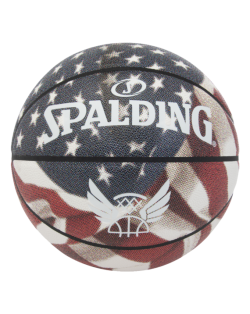 Mini canasta de los Lakers ⭐️ Spalding
