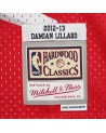 Swingman NBA Damian Lillard Portland Trail Blazers