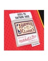 Swingman Hardwood Calssics NBA Dwyane Wade Miami Heat