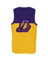 Top NBA LeBron James Los Angeles Lakers