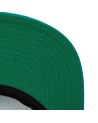 Gorra NBA Team Ground 2.0 Charlotte Hornets HWC