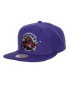 Gorra NBA Team Ground 2.0 Toronto Raptors HWC