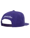 Gorra NBA Team Ground 2.0 Toronto Raptors HWC