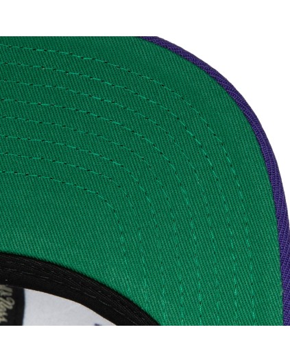 Gorra NBA Team Ground 2.0 Toronto Raptors HWC