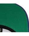 Gorra NBA Team Ground 2.0 Toronto Raptors HWC
