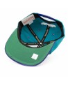 Gorra NBA Soulstrike Transcript Snapback Charlotte Hornets