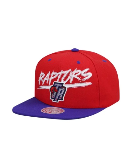 Gorra NBA Soulstrike Transcript Snapback Raptors