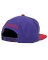 Gorra NBA Team 2 Tone 2.0 Snapback Hwc Toronto Raptors