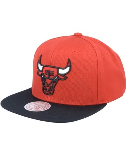 Gorra NBA Team 2 Tone 2.0 Stretch Bulls