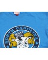 Camiseta NCAA Legendary Slub North Carolina