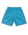 Pantalón NBA Swingman Charlotte Hornets Teal