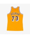 Swingman NBA Dennis Rodman Los Angeles Lakers