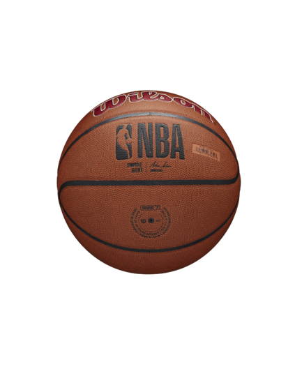 Balón NBA Wilson Team Alliance Miami Heat