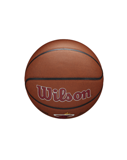 Balón NBA Wilson Team Alliance Miami Heat