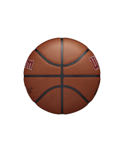 Balón NBA Wilson Team Alliance Miami Heat