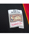 Swingman NBA Dwyane Wade Miami Heat 2012/13
