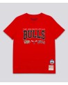 Camiseta NBA HWC Champ Stack Tee Chicago Bulls