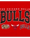 Camiseta NBA HWC Champ Stack Tee Chicago Bulls