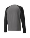 Sweatshirt Movistar Estudiantes Entreno Gris 23/24