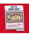 Swingman Hardwood Classics NBA Robert Horry Houston Rockets