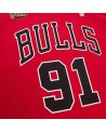 Camiseta NBA Dennis Rodman Chicago Bulls