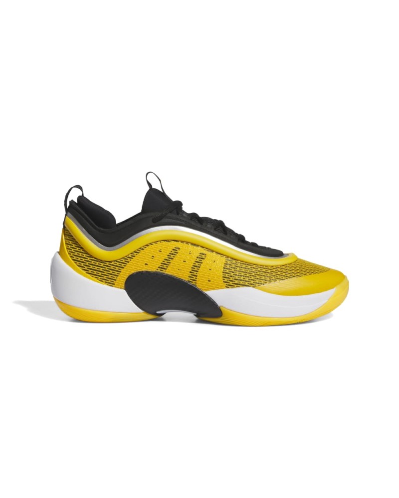 Zapatilla Adidas D.O.N Issue 6 "Team"