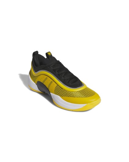 Zapatilla Adidas D.O.N Issue 6 "Team"