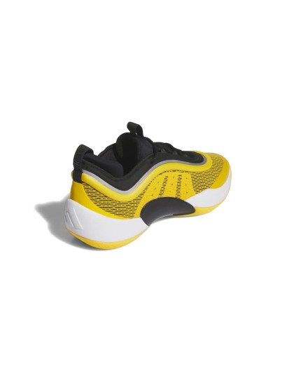 Zapatilla Adidas D.O.N Issue 6 "Team"