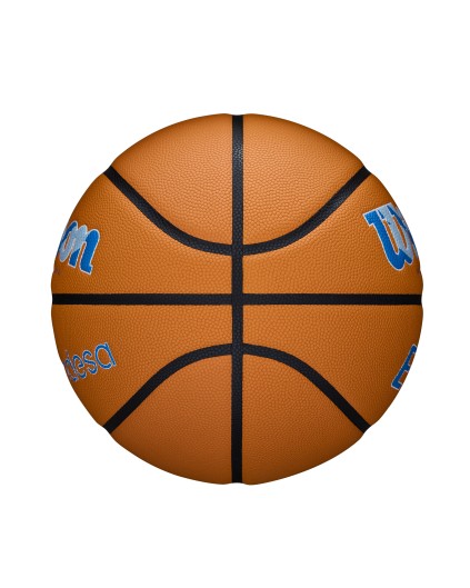 Balón Oficial Wilson EVO NXT Liga Femenina Endesa