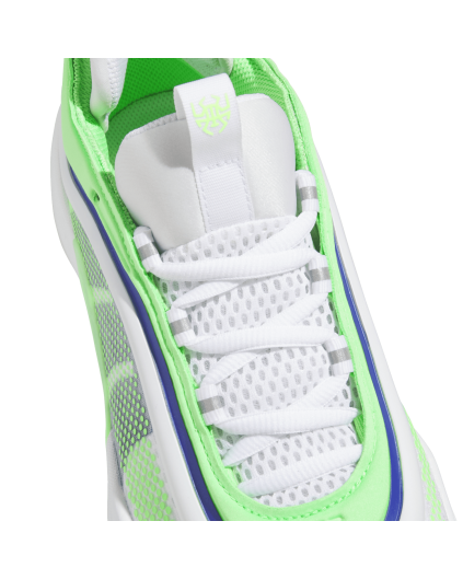 Zapatillas de Baloncesto Adidas D.O.N. Issue 6 "Metamorphosis"