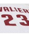 Swingman NBA Cleveland Cavaliers LeBron James Blanca