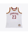 Swingman NBA Cleveland Cavaliers LeBron James Blanca