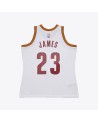 Swingman NBA Cleveland Cavaliers LeBron James Blanca