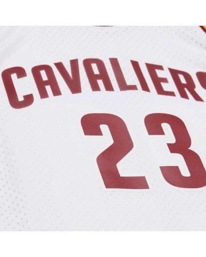 Swingman NBA Cleveland Cavaliers LeBron James Blanca