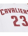 Swingman NBA Cleveland Cavaliers LeBron James Blanca