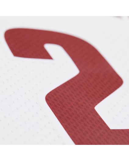 Swingman NBA Cleveland Cavaliers LeBron James Blanca