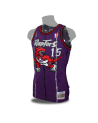 Swingman Vince Carter