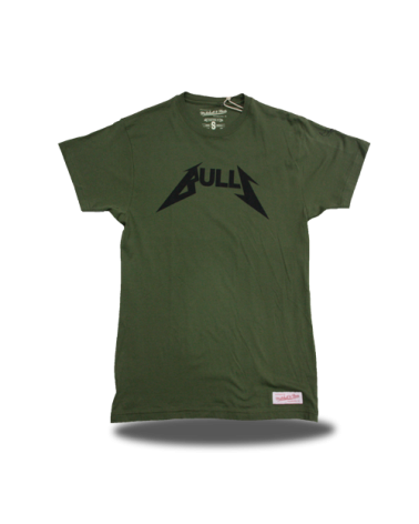 Camiseta Rock Chicago Bulls Verde