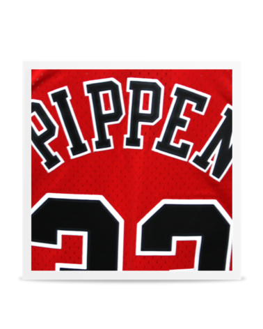 Swingman Scottie Pippen