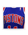 Swingman Isiah Thomas