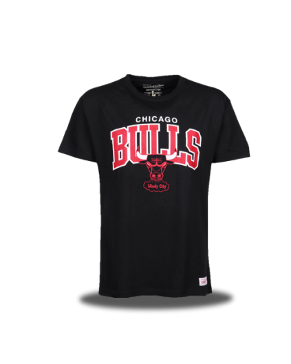 Camiseta Chicago Bulls Windy City