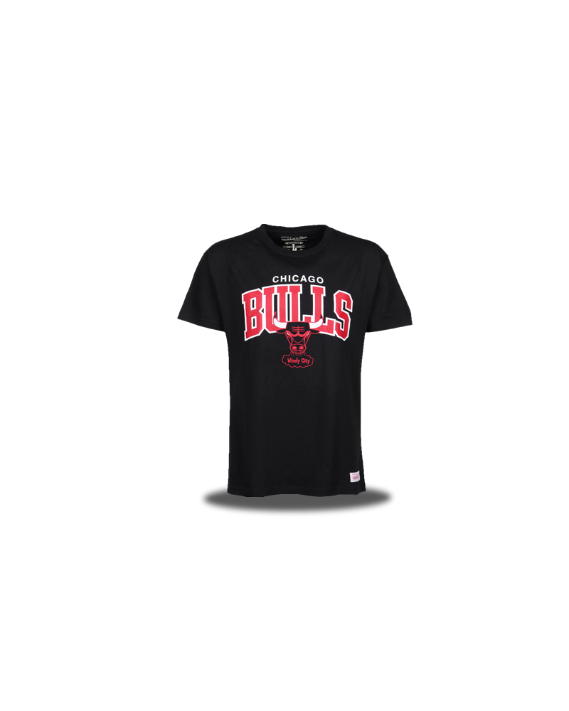 Camiseta Chicago Bulls Windy City