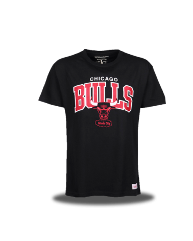 Camiseta Chicago Bulls Windy City