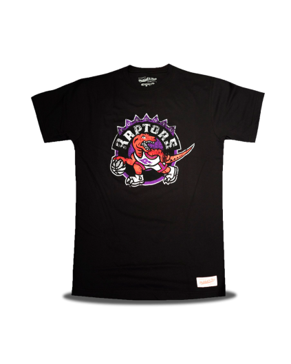 Toronto Raptors Distressed Logo