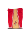 Pantalón Swingman Cavaliers 2003-04