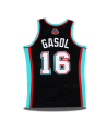 Swingman Pau Gasol