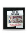 Swingman Pau Gasol